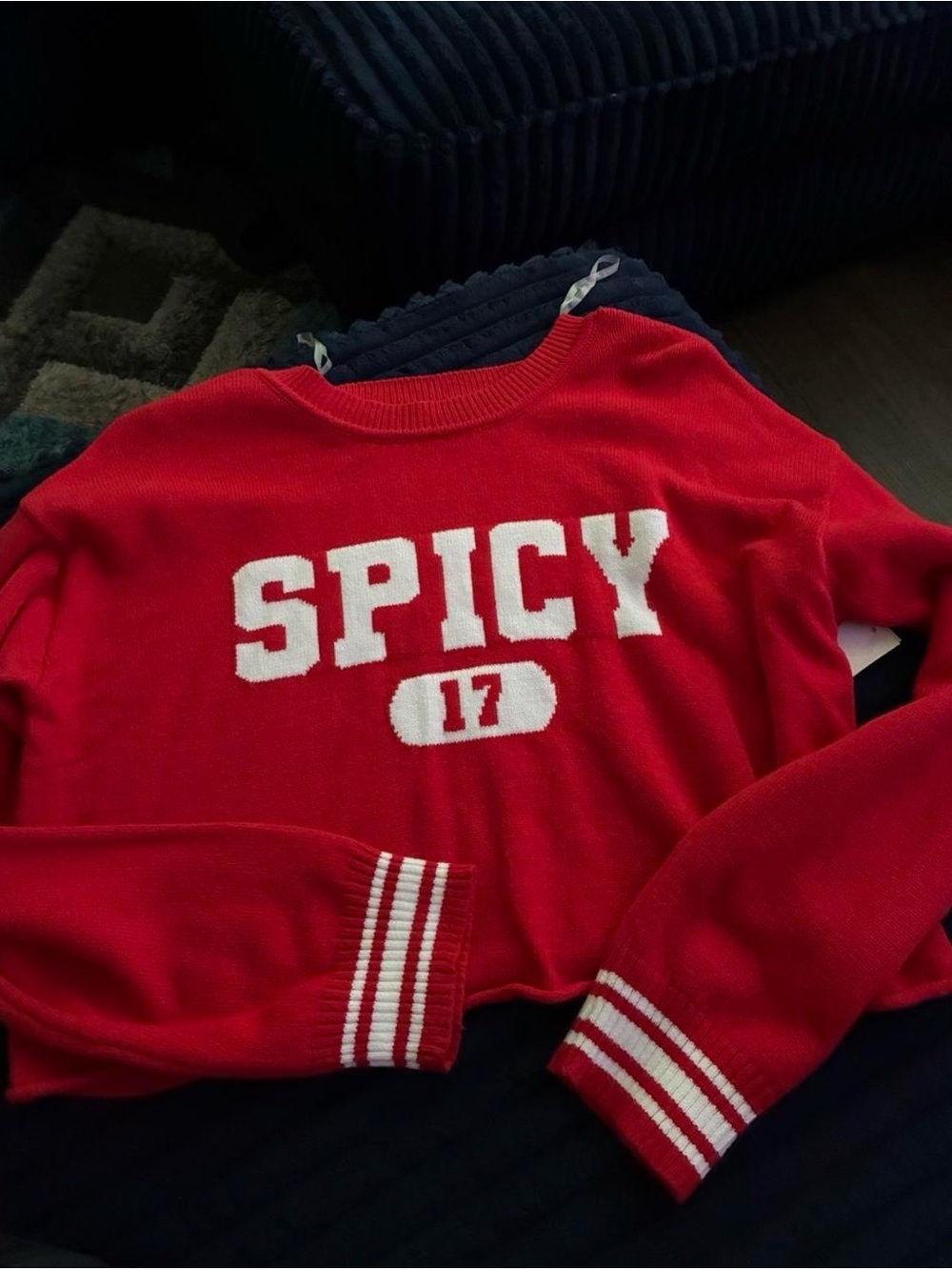 No Boundaries Red 'SPICY 17' Crewneck Sweater